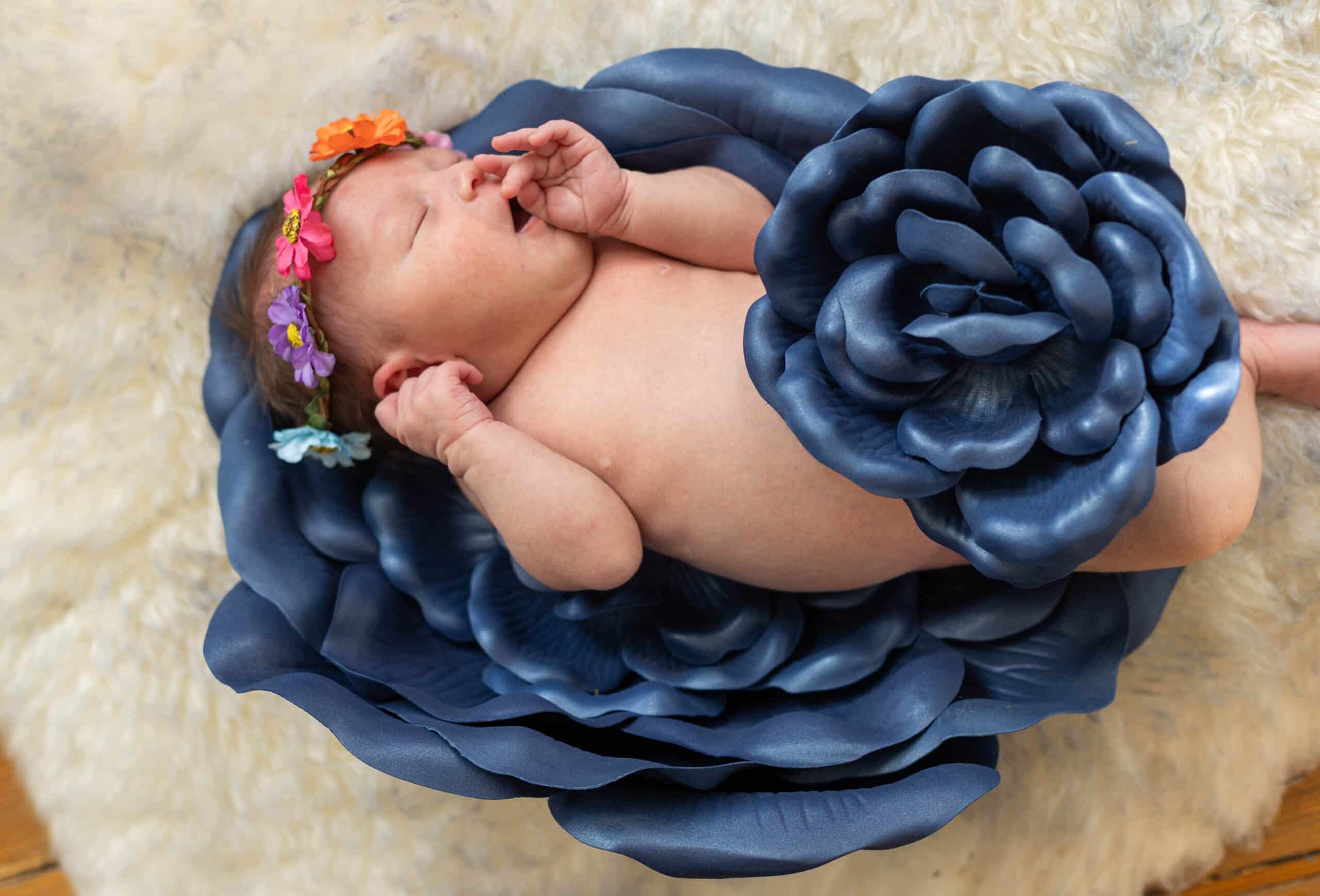 colorado springs newborn photos