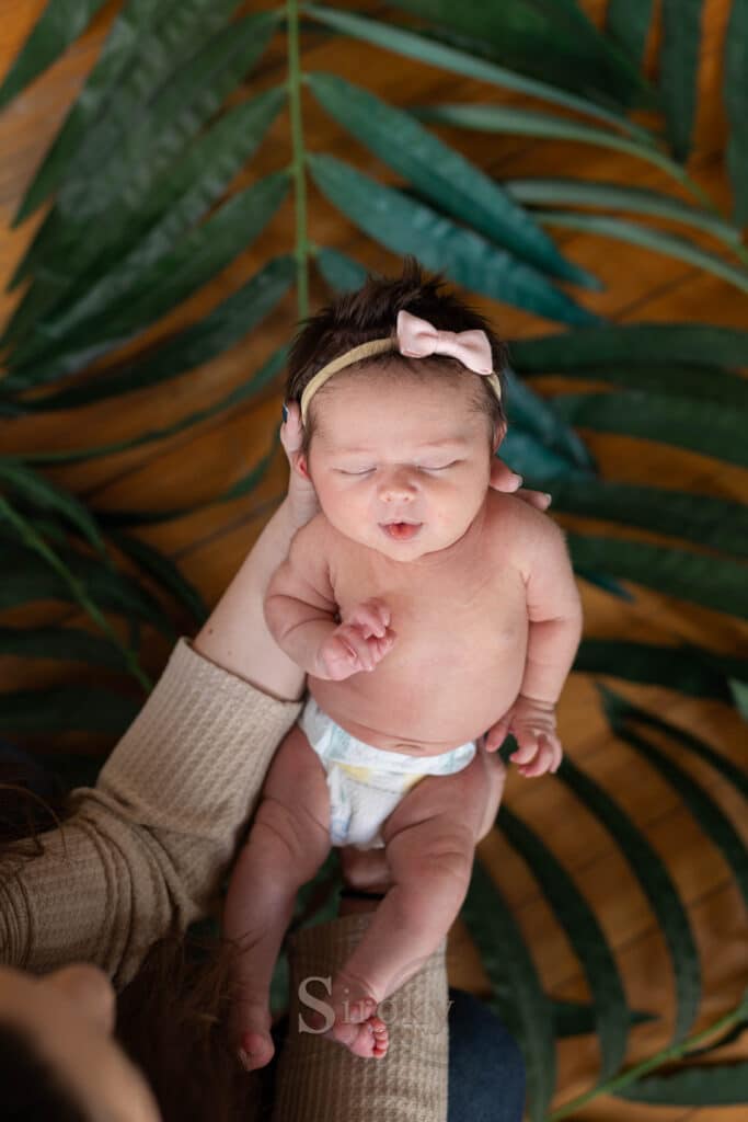 newborn photo in colorado springs